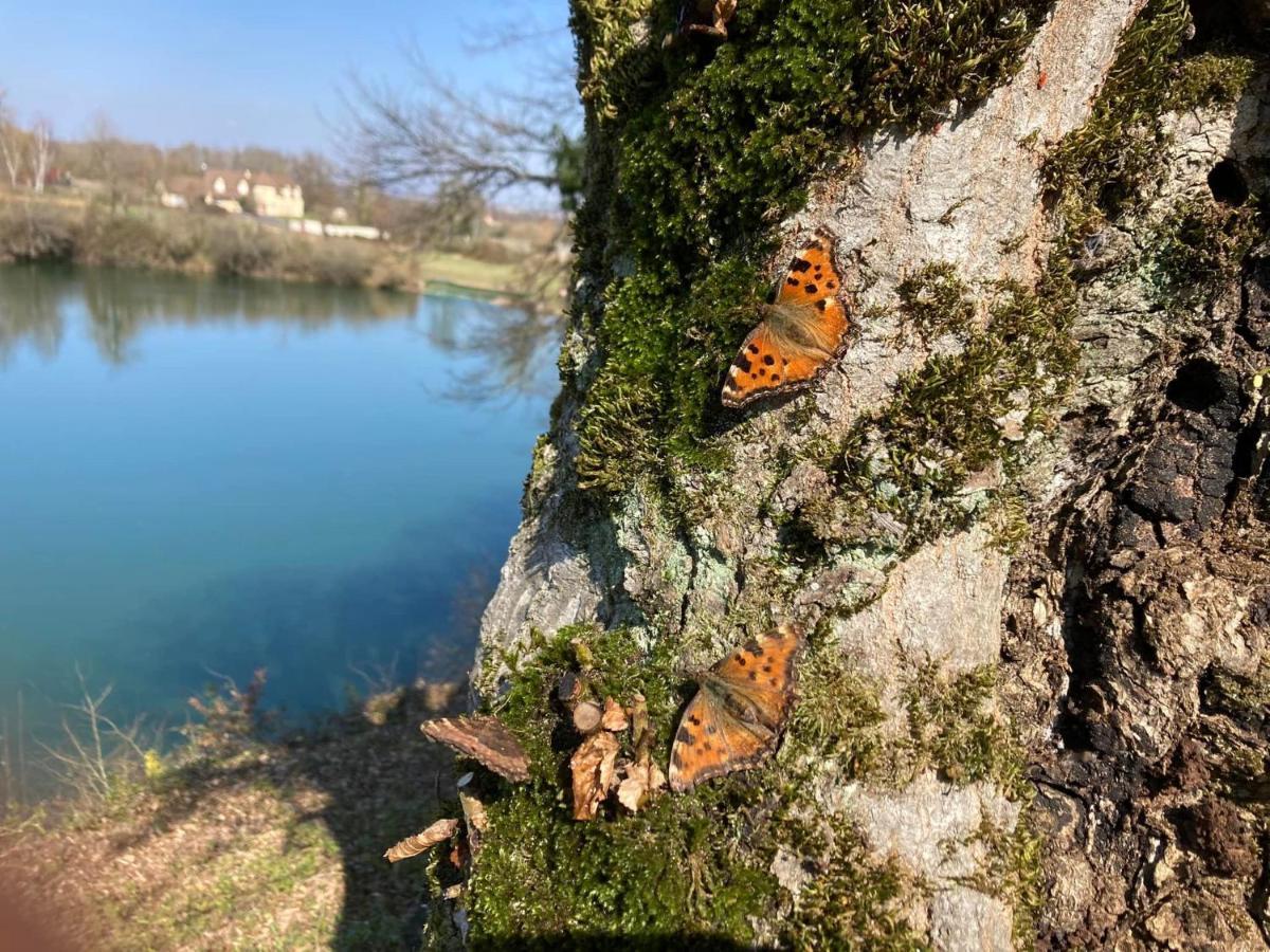 Lac De Lumiere. Relax With Rural Lakeside Living Herry 外观 照片